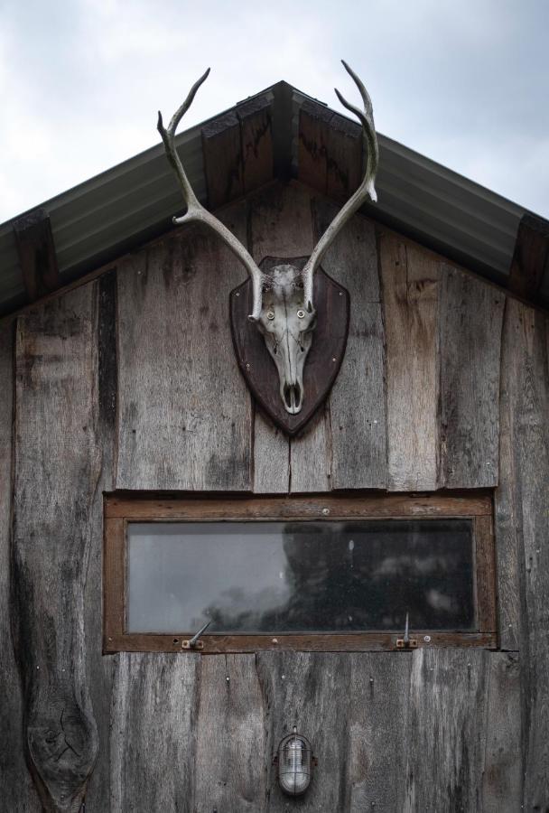 Glamping Fluffy Horns - Glempings Pukainie Ragi Hotel Plieņciems Exterior foto