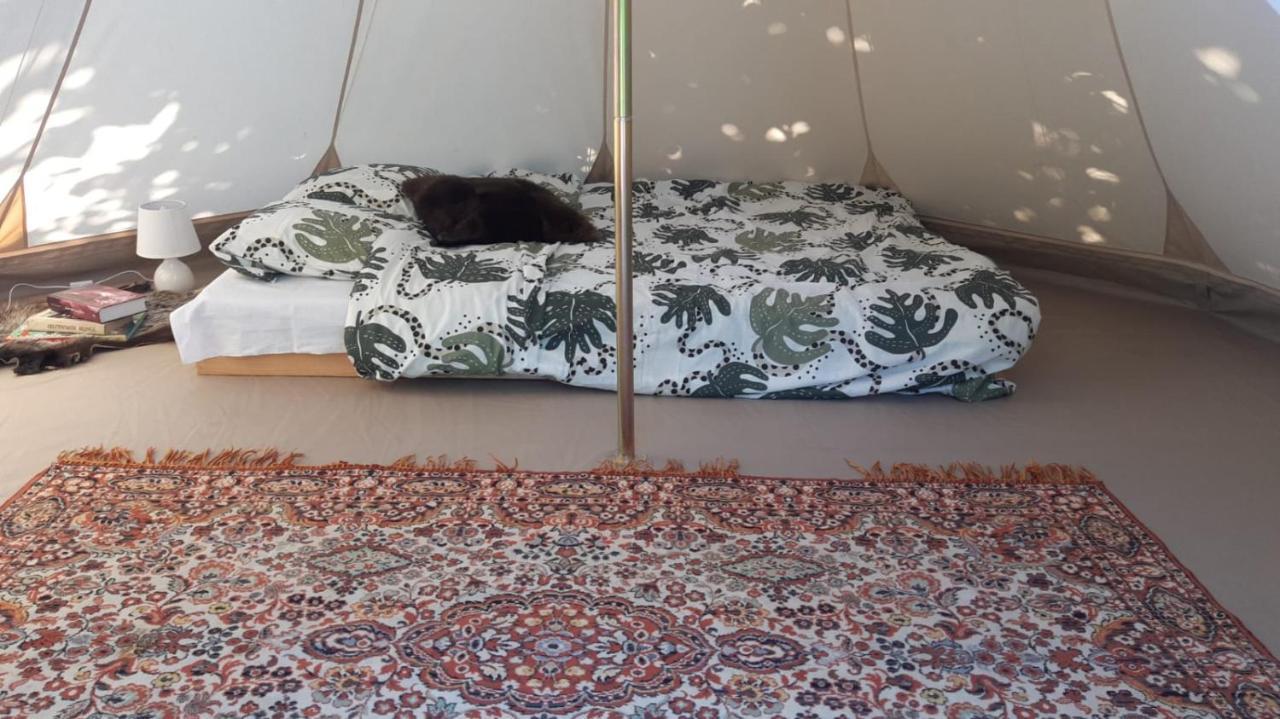 Glamping Fluffy Horns - Glempings Pukainie Ragi Hotel Plieņciems Exterior foto