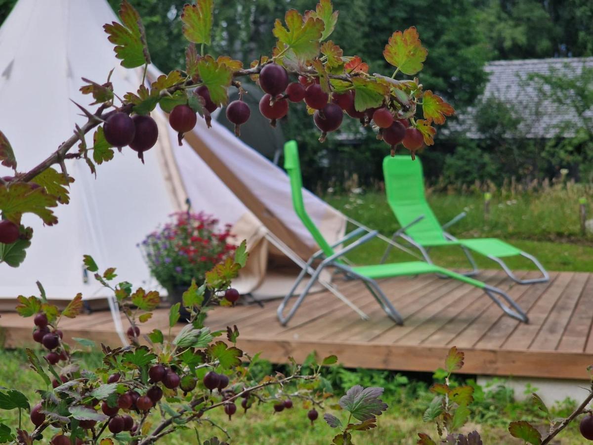 Glamping Fluffy Horns - Glempings Pukainie Ragi Hotel Plieņciems Exterior foto